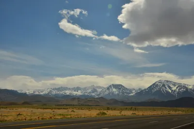 DSC_6595 (Large).JPG